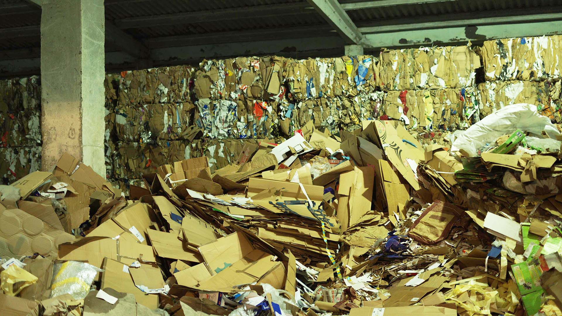 Deseuri reciclabile Green Global
