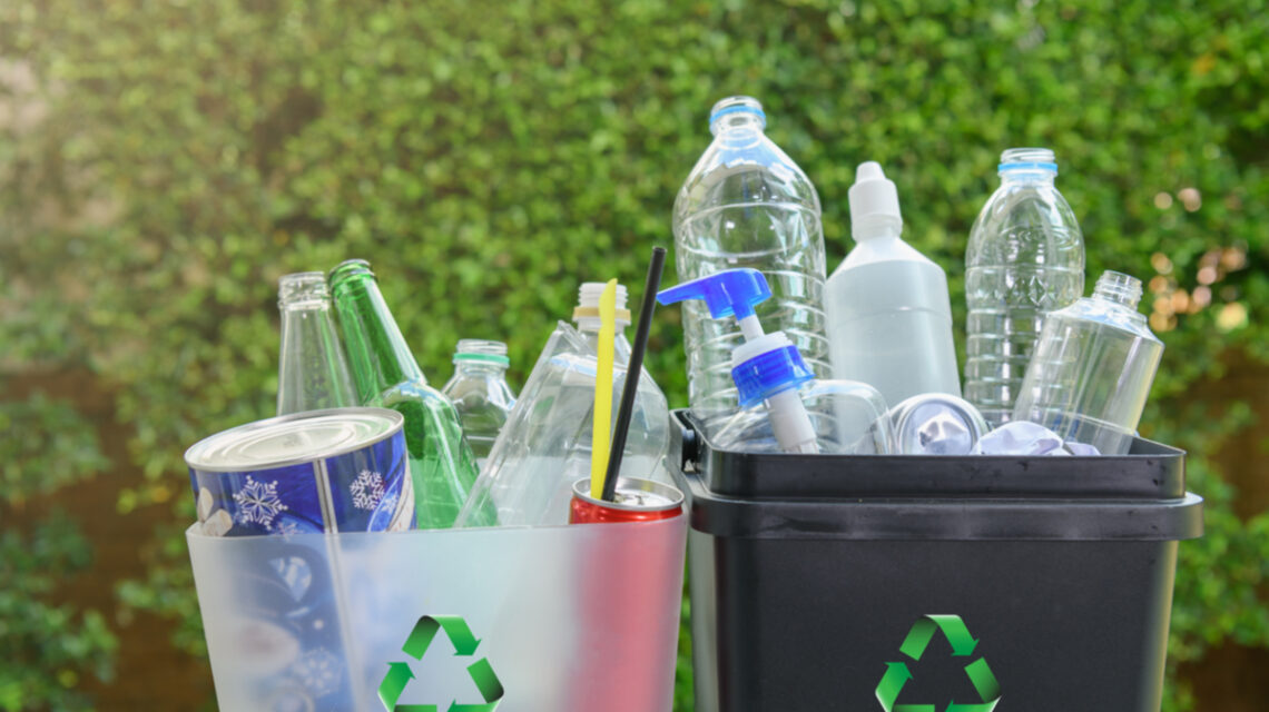 decorate at least Rooster Reciclarea plasticului: ce responsabilitati au companiile si cum le pot  gestiona? - GreenGlobal.ro