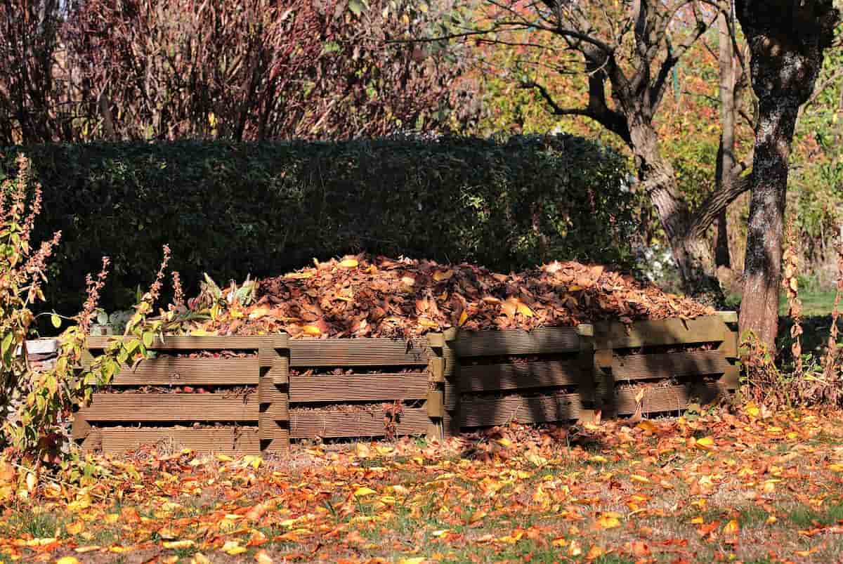 deseuri vegetale sub forma de frunze moarte adunate in gramezi