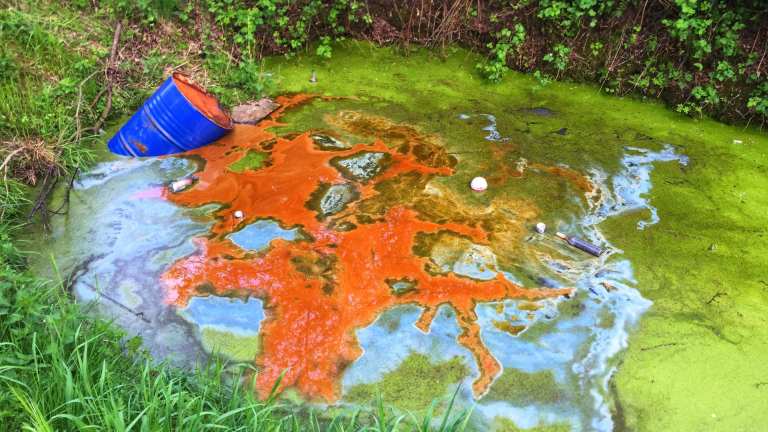 Impactul deșeurilor periculoase asupra ecosistemului