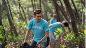 Care este rolul comunității în ecologizarea batalelor