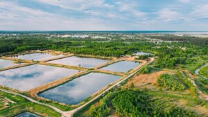 Ce metode de decontaminare și curățare se folosesc în cadrul procesului de ecologizare a unui batal