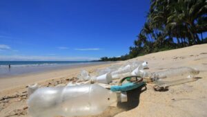 Factorii care Influențează Durata de Degradare a Plasticului