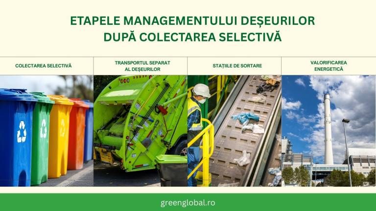 Etapele managementului deșeurilor